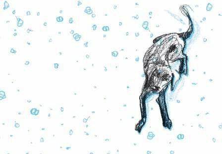 Lafeltrinelli River. Il cane nero. Ediz. illustrata In Vendita
