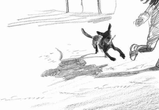 Lafeltrinelli River. Il cane nero. Ediz. illustrata In Vendita