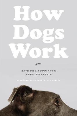 Lafeltrinelli How Dogs Work