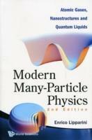Lafeltrinelli Modern Many-particle Physics: Atomic Gases Nanostructures And Quantum Liquids (2nd Edition)
