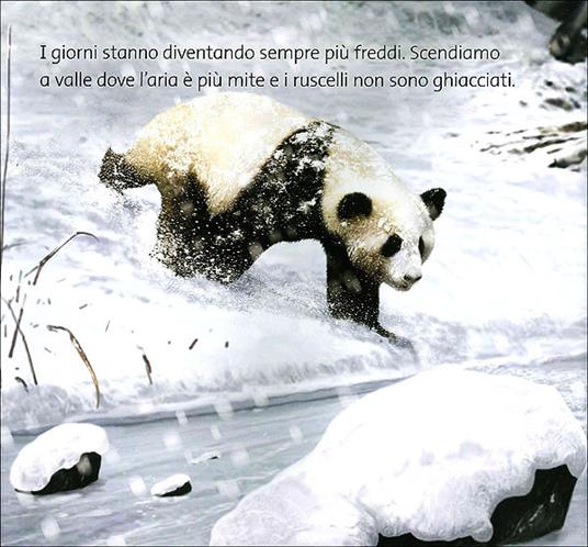Lafeltrinelli Panda Sconti VIP