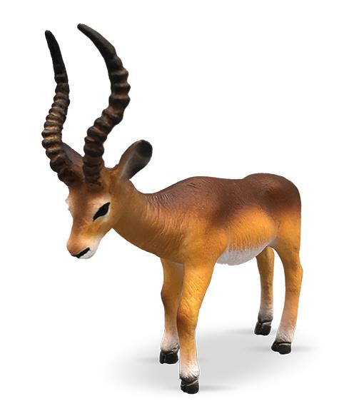Lafeltrinelli Safari - Antilope