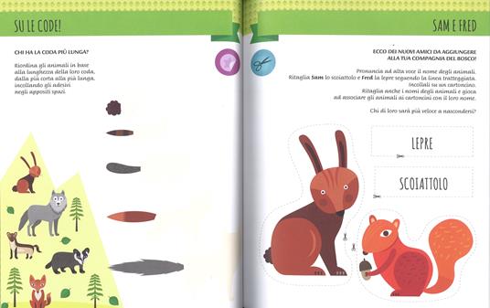 Lafeltrinelli Il mio primo libro degli animali del bosco. 3-4 anni. Montessori: un mondo di conquiste. Con adesivi. Ediz. a colori 50% di sconto per tempo limitato