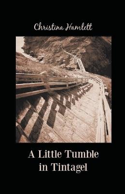 Lafeltrinelli A Little Tumble in Tintagel