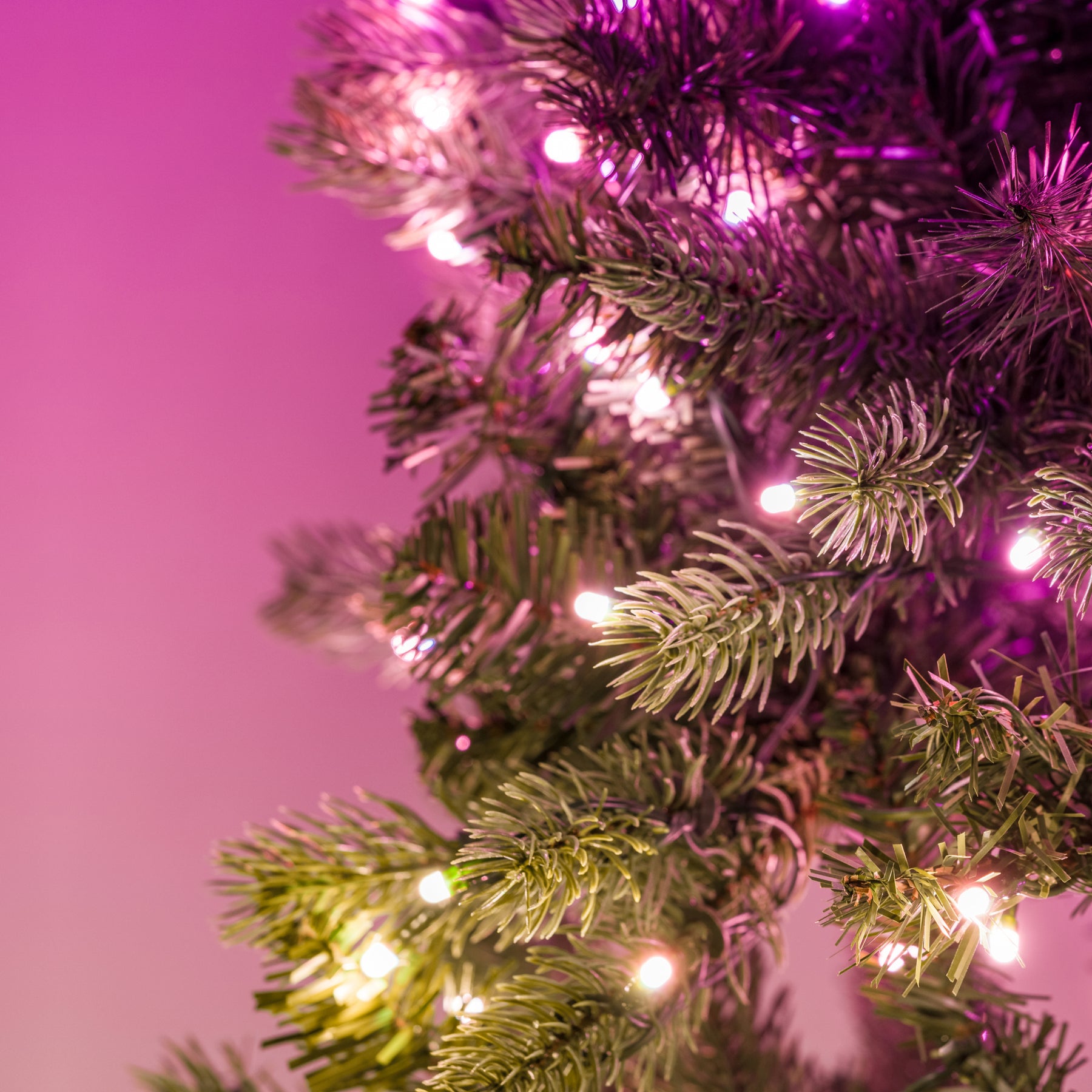 Twinkly Pre-lit Regal Garland Offerte